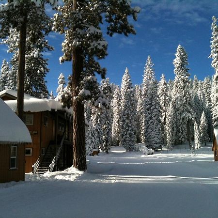Montecito Sequoia Lodge Wilsonia Exteriér fotografie