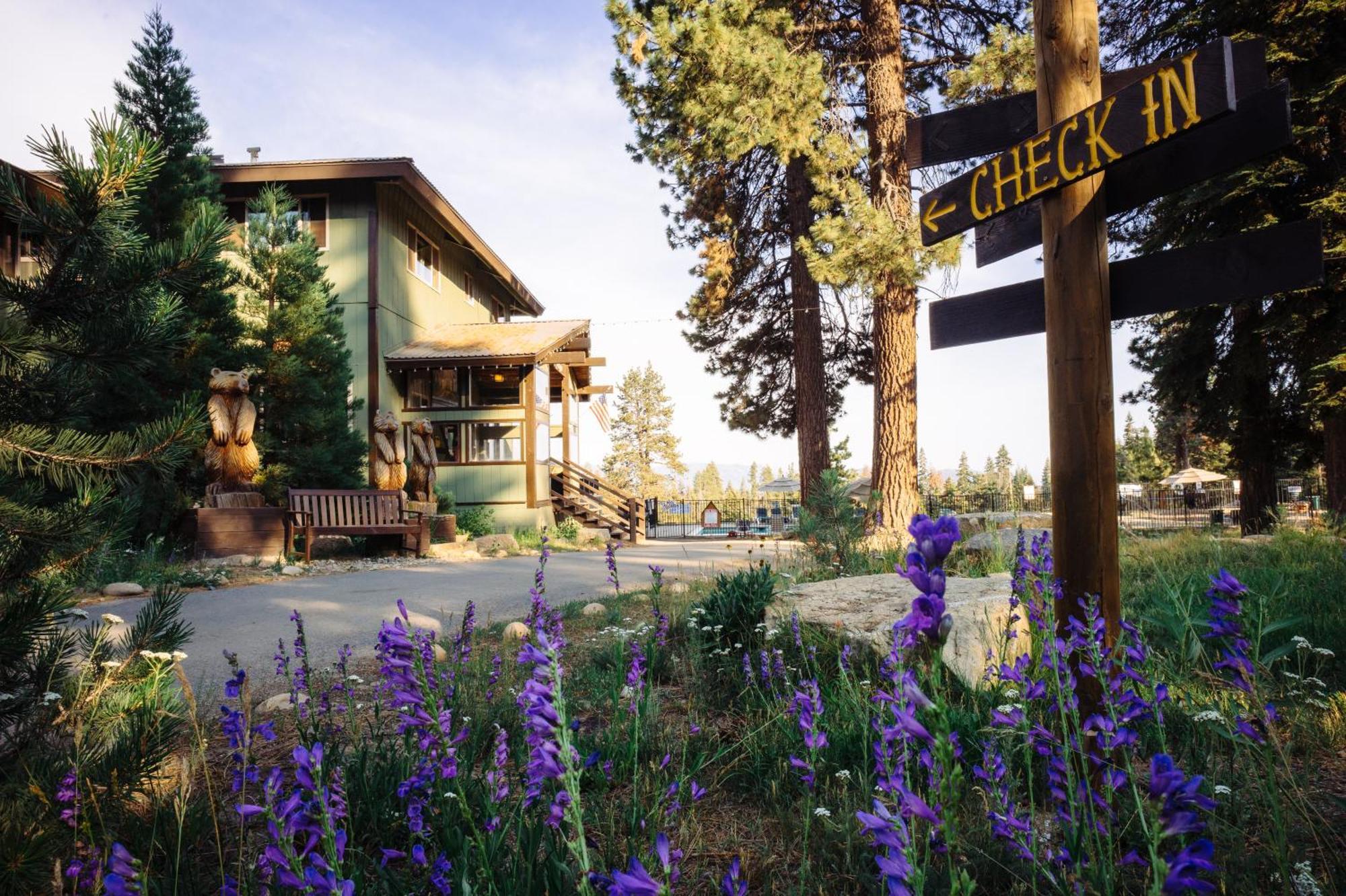 Montecito Sequoia Lodge Wilsonia Exteriér fotografie
