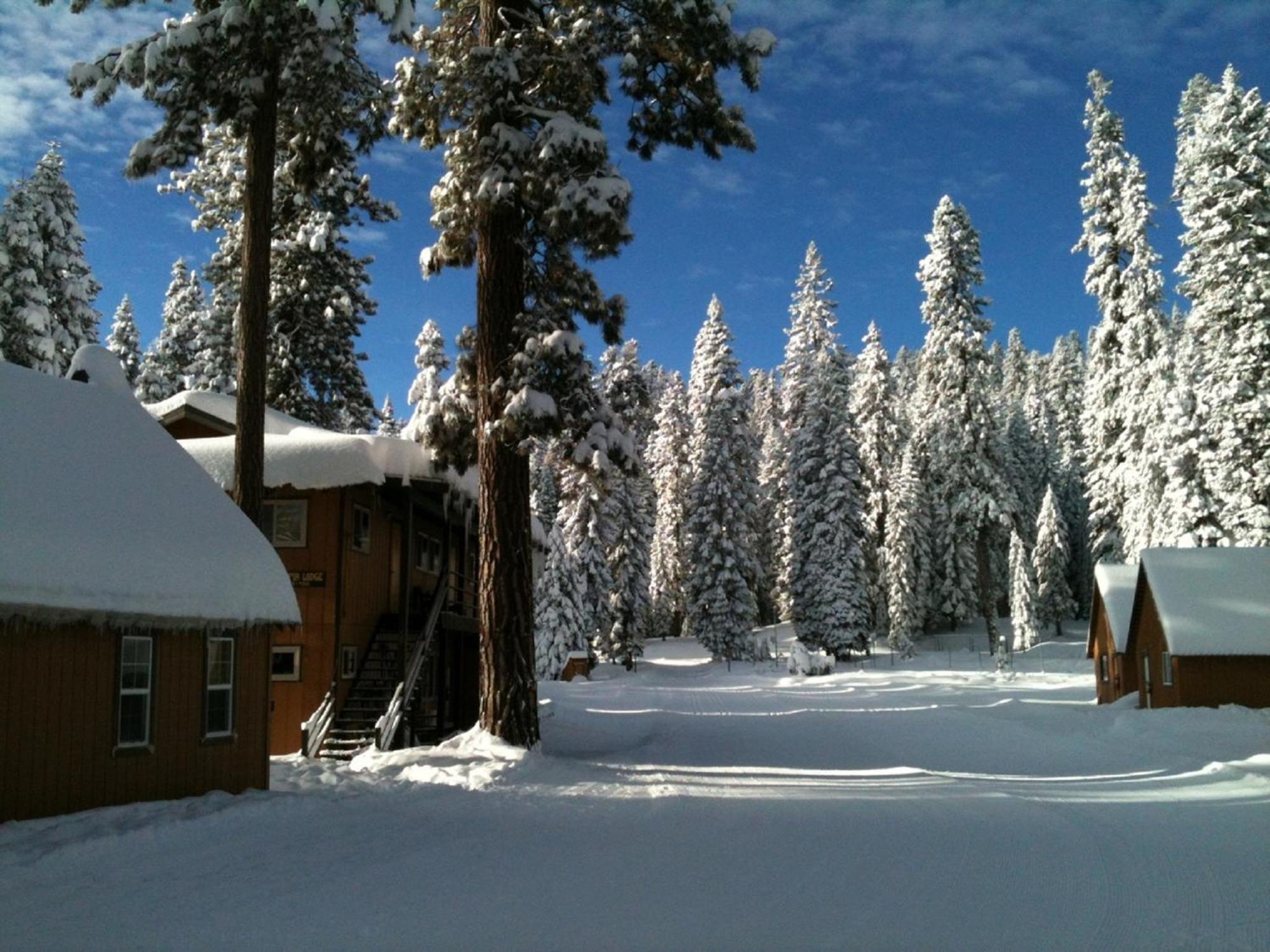 Montecito Sequoia Lodge Wilsonia Exteriér fotografie